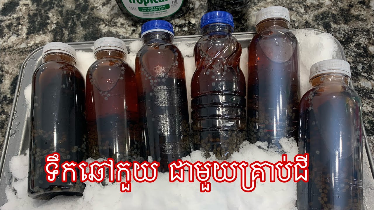 របៀបធ្វើទឹកឆៅគួយ ឬទឹកចាហ៊ួយខ្មៅ លាយជាមួយគ្រាប់ជី Grass jelly and chia seeds