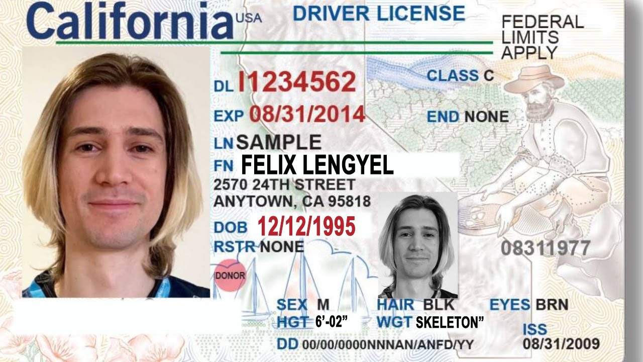 xQc Takes an Online Drivers Test