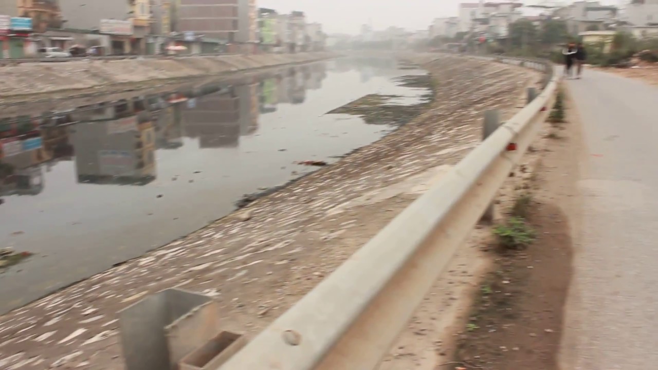 The River -The River - my hometown vnlife