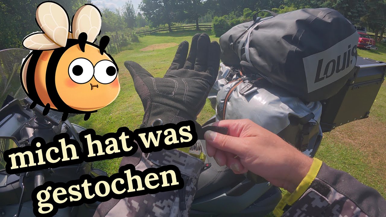 Mich hat was gestochen * Rückfahrt nach Berlin * Sächsische Schweiz Tour * Yamaha Tricity 300