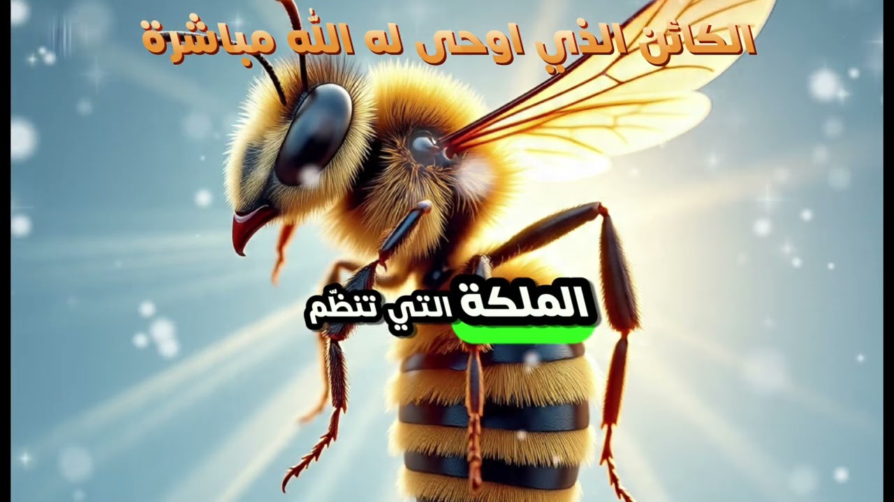 معجزة إلهية حية: لماذا أوحى الله إلى النحل دون غيره؟ 😯🔥🔥