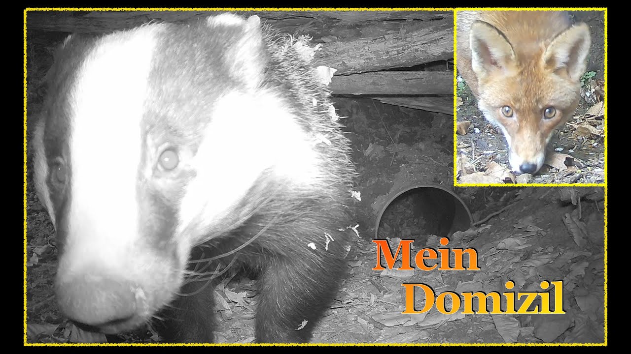 Mein Domizil