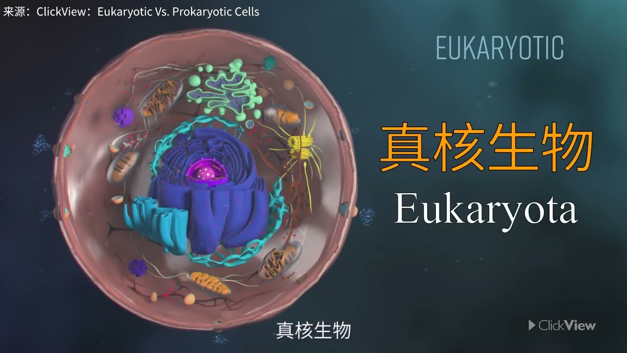 【鬼谷闲谈】一次改写生命演化的邂逅