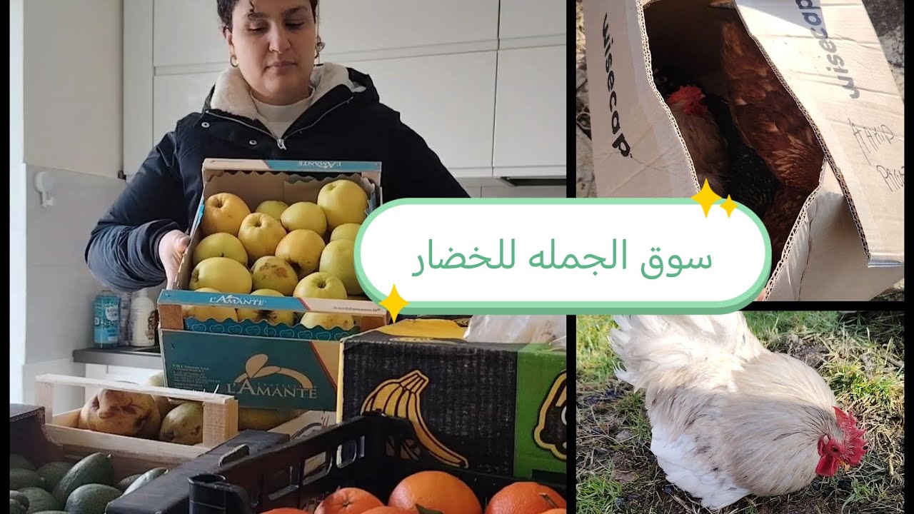 جولة في سوق الجملة بإيطاليا: الخضرة🍆 بأرخص ثمن وشريت أجمل دجاجة قزمية لجريدتي! 🐓🇮🇹