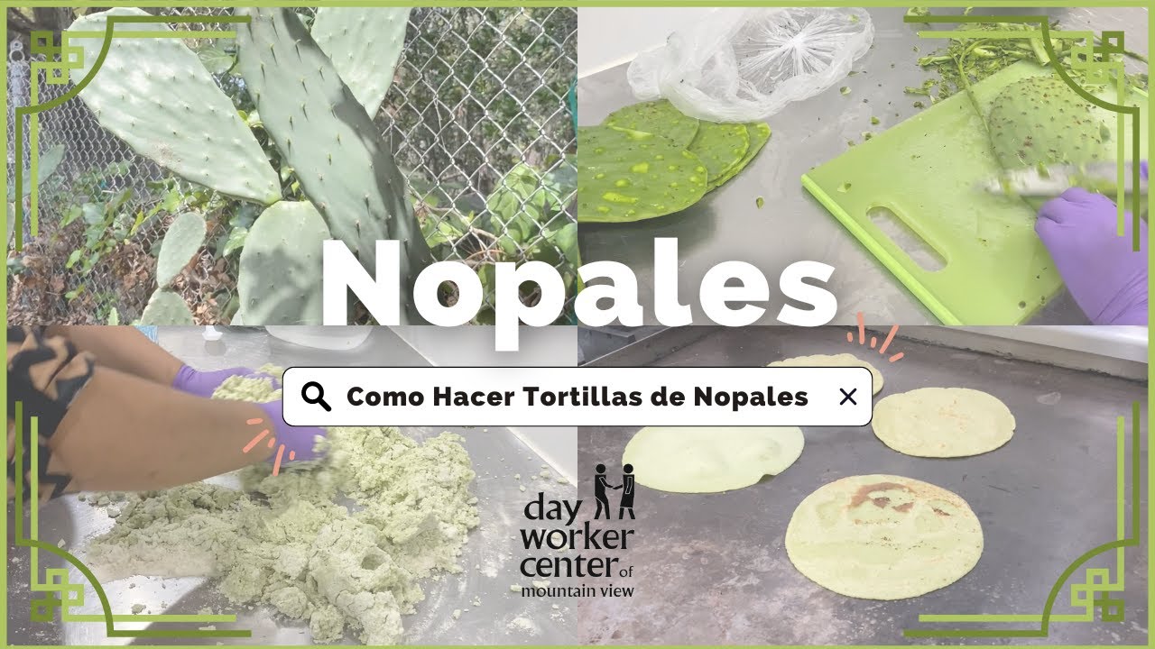 Aprende a Hacer Tortillas de Nopales!