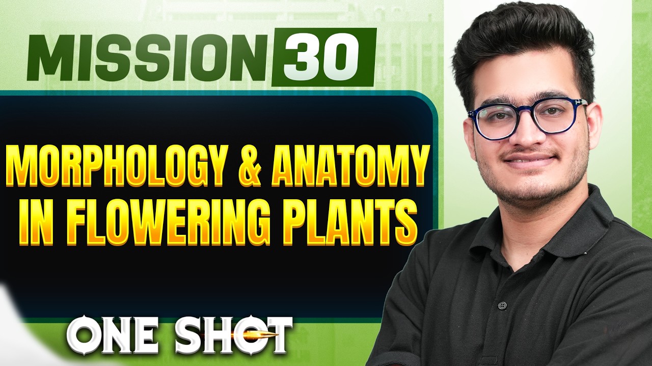 MORPHOLOGY & ANATOMY IN FLOWERING PLANT in ONE SHOT | Concept, Trick & PYQ | NEET 2026