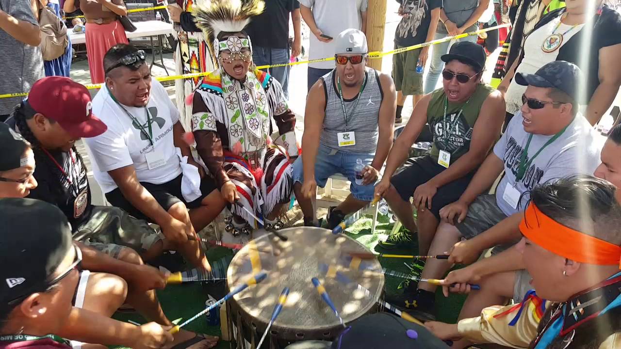 Black Bear 10 Live Pala 2016