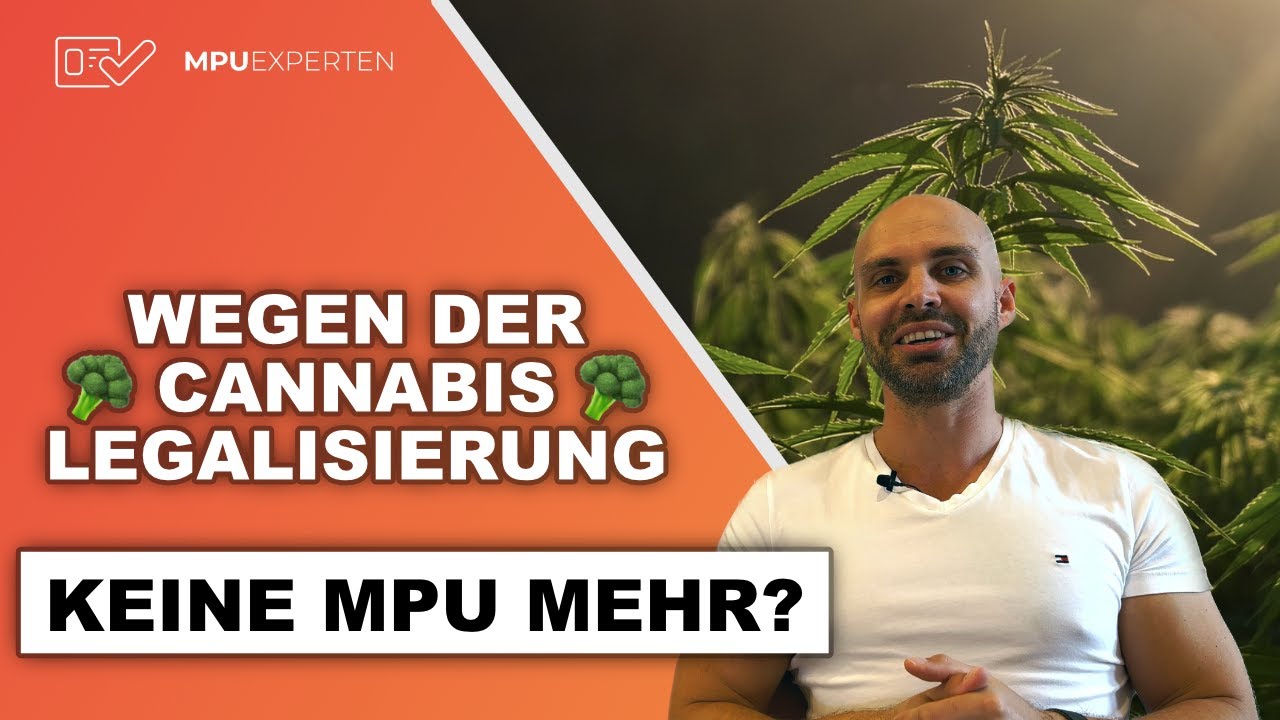 🥦 Keine Drogen-MPU mehr durch die Cannabis-Legalisierung - Fragen  & Antworten - MPU-Experten