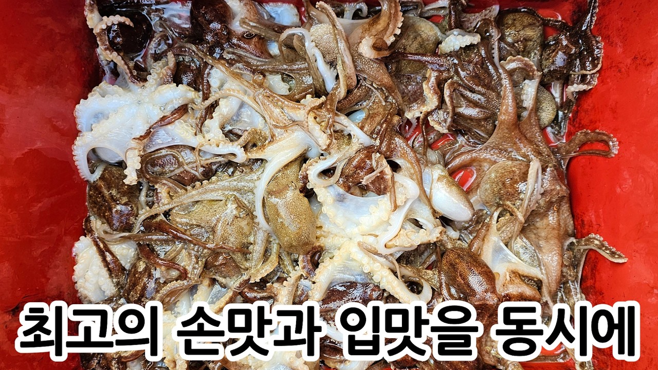 봄 주꾸미 40수! 심해갑만큼 재미있는 깊은수심 알주꾸미 낚시! #리쌍호 #구독자이벤트