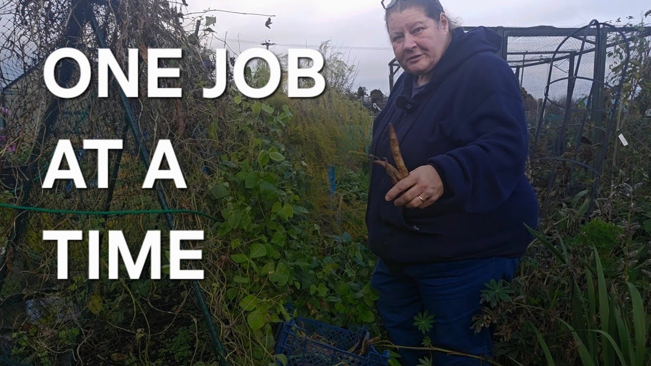 Clearing The Plot - One Job At A Time