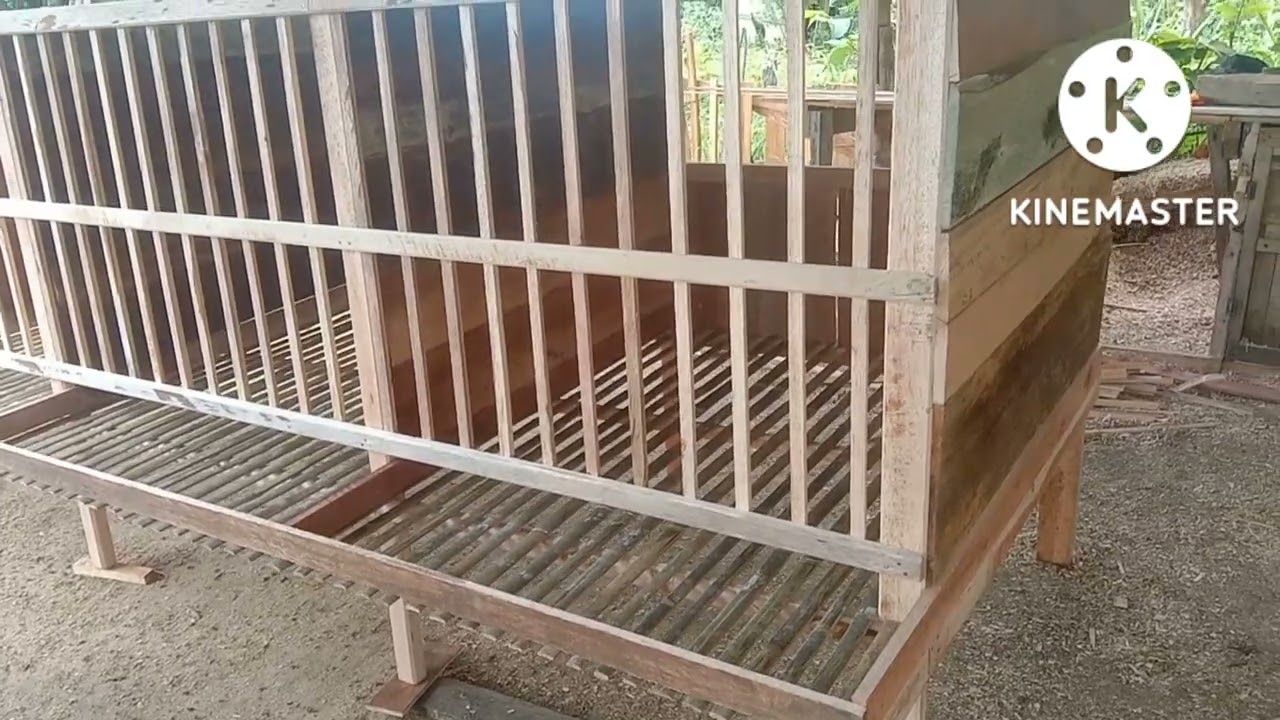 PROSES PEMBUATAN KANDANG  KUB ATAU  PETELUR ..IMPIAN PARA PETERNAK ..