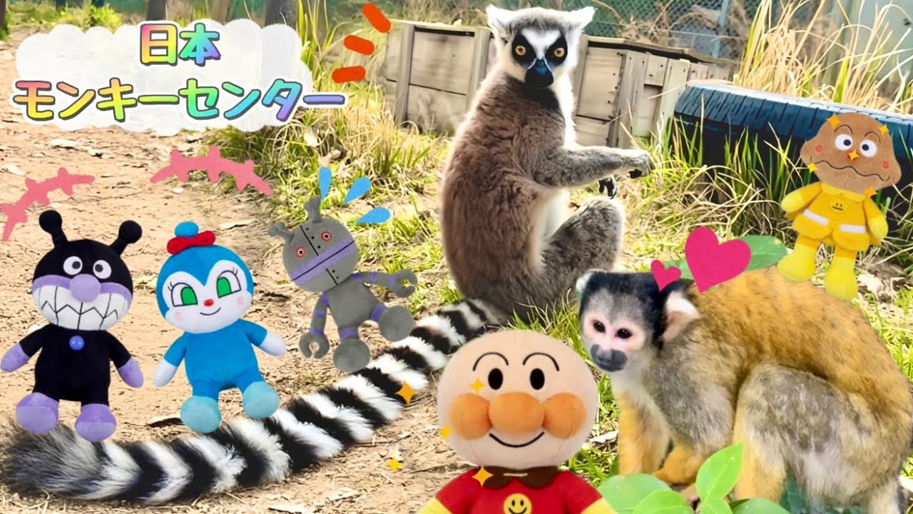 アンパンマンとお猿さんだらけの動物園に行ってきたよ！ なのキッズ [日本モンキーセンター] アンパンマン アニメ おもちゃ zoo 動物 モンキーパーク モンキーセンター どうぶつ どうぶつえん さる