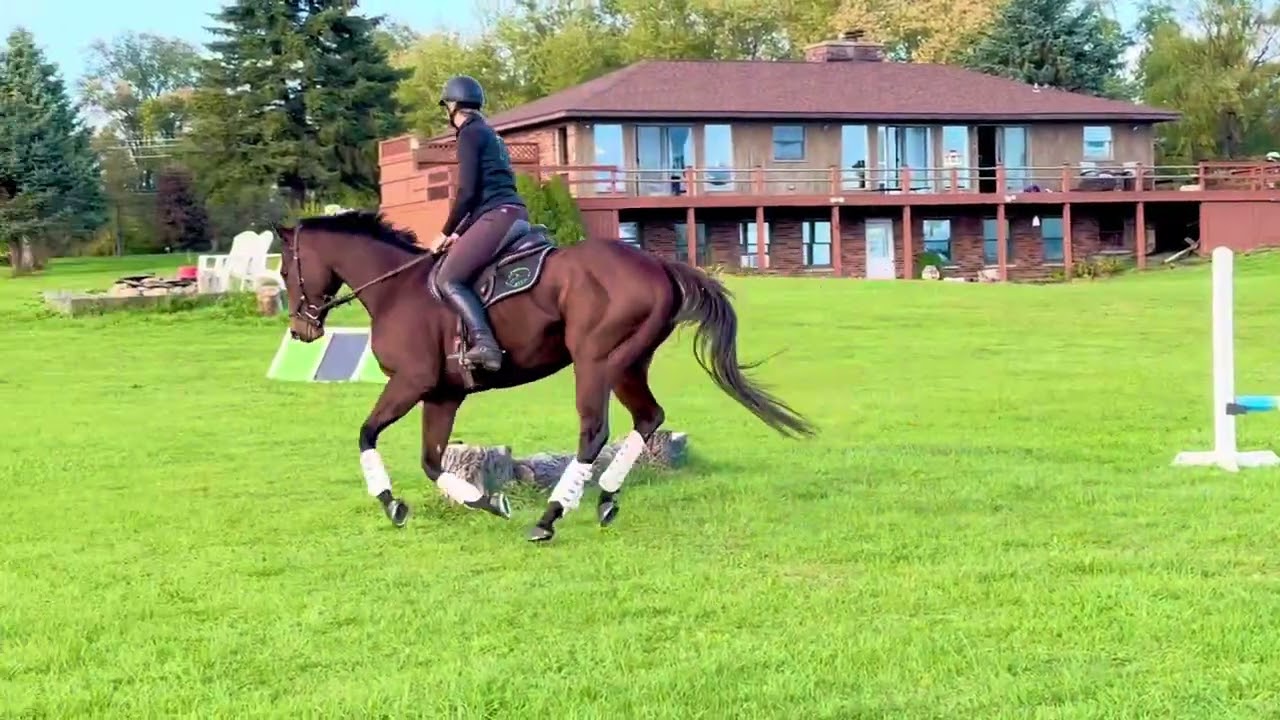 Polo (Overtime Charlie) ride 4 with some intro grid work 