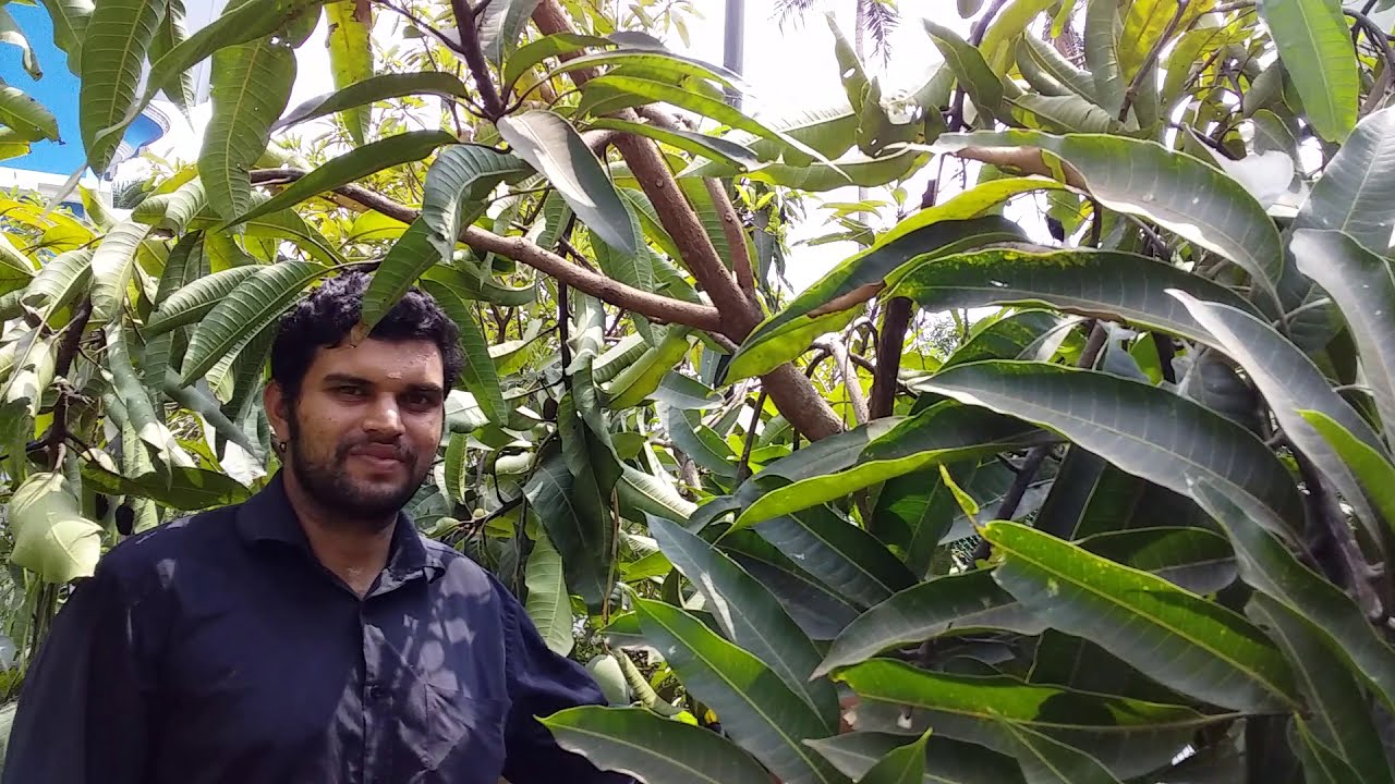 മണ്ണുത്തി , നാഷണൽ  റോസ്ഗാർഡനിലെ  കൗതുക കാഴ്ചകൾ... .part-3  wow....Amazing farming