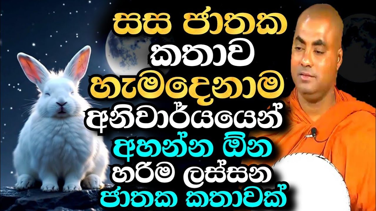 සස ජාතකය - හරිම ලස්සන ජාතක කතාවක් හැමෝම අහන්න ඕන කතාවක් | koralayagama saranathissa thero bana 2025