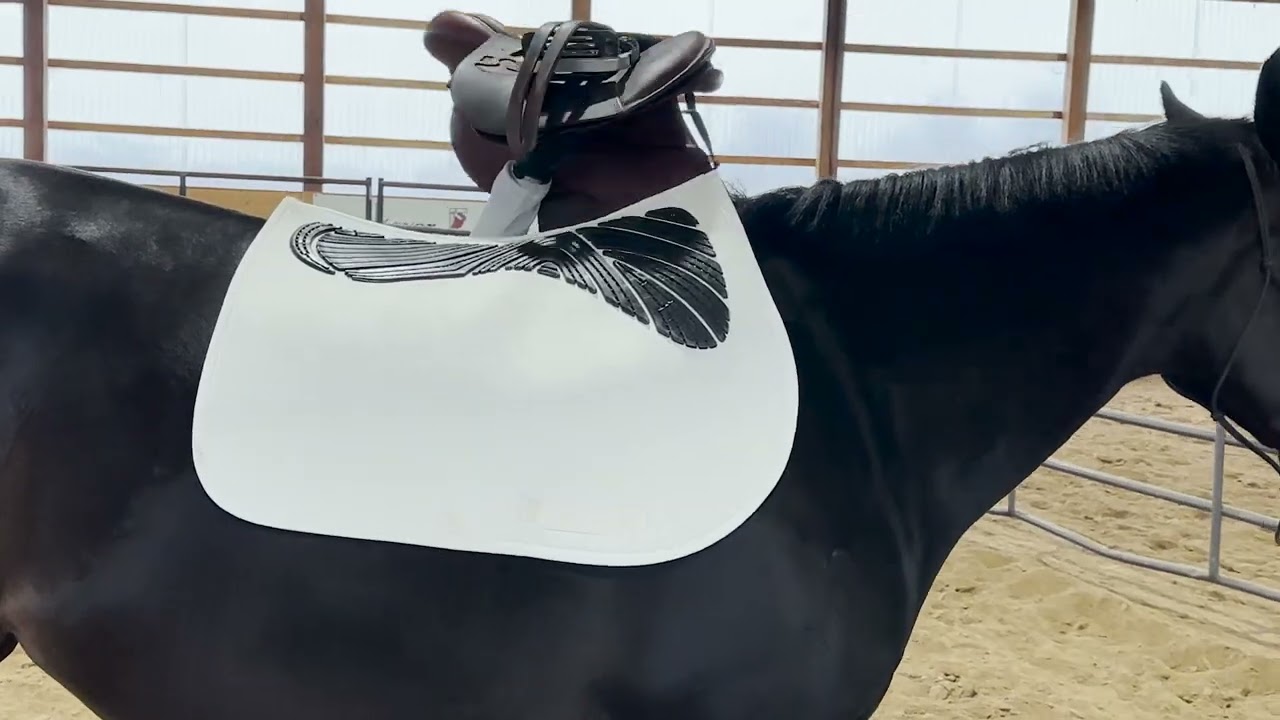 Braecrest loves the Acavallo Saddle pad JS CW-CS twin sided gel grip