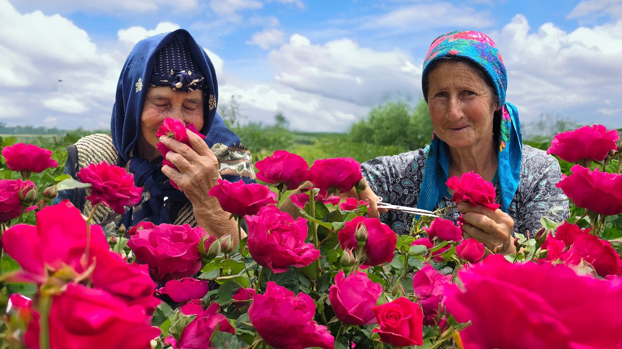 Making traditional Rose Flower Water In The Village
