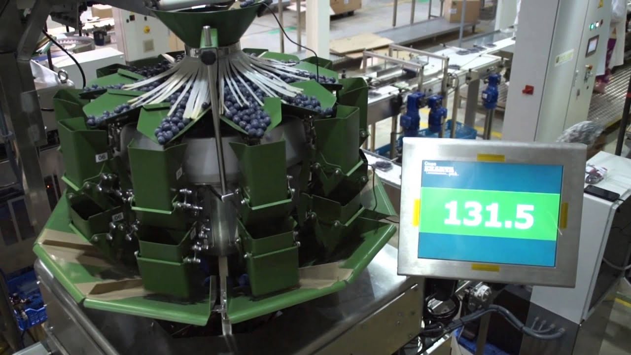 Línea para envasado de arandanos 100 bpm