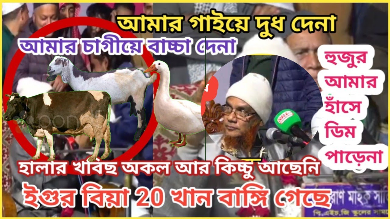 এই সিজনের সবচেয়ে বেশি বাইরাল সাদা কালেকশনl Ali Ahmed Hujur l Hojai l Sylheti l Bangla l Viral l Waz