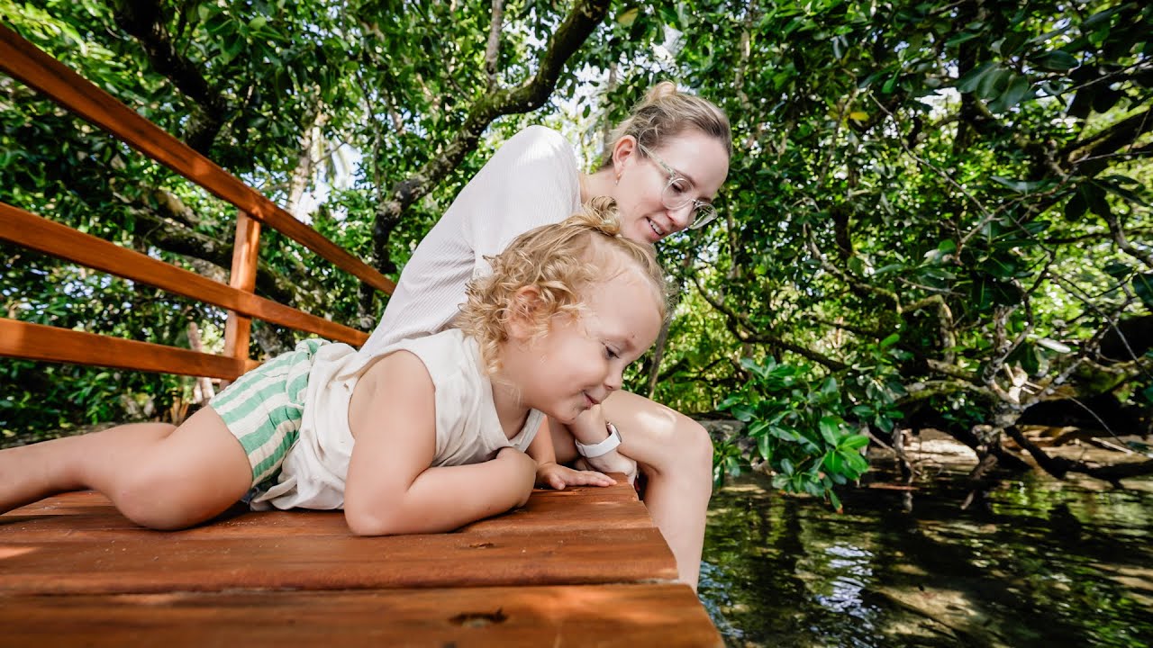 Our simple family life in a tropical paradise (Night diving & Island Birthday)