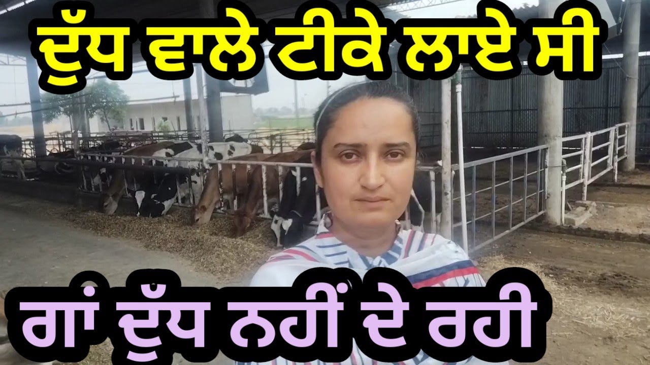 milk wale INJECTION laye c par doodh nhi banea😔😫