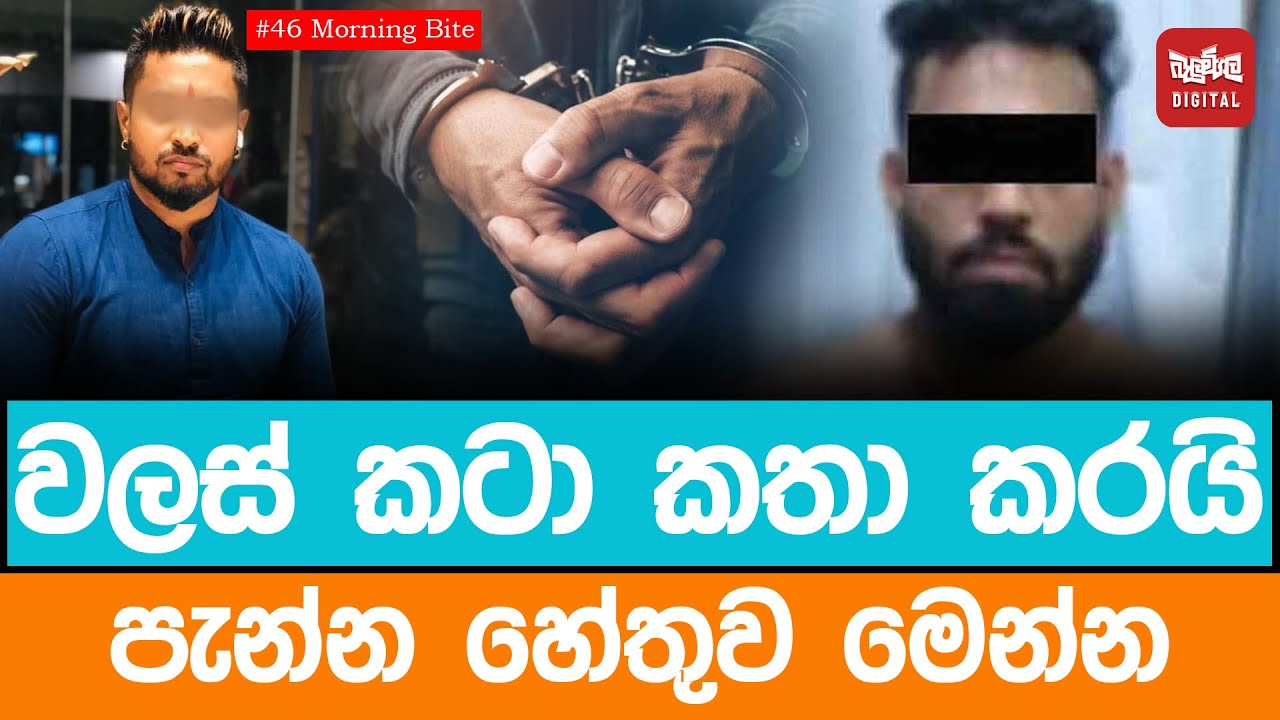 වලස් කටා කතා කරයි . පැන්න හේතුව මෙන්න