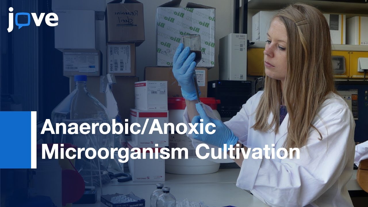 Medium Preparation For Cultivation Of Anaerobic Anoxic Microorganisms