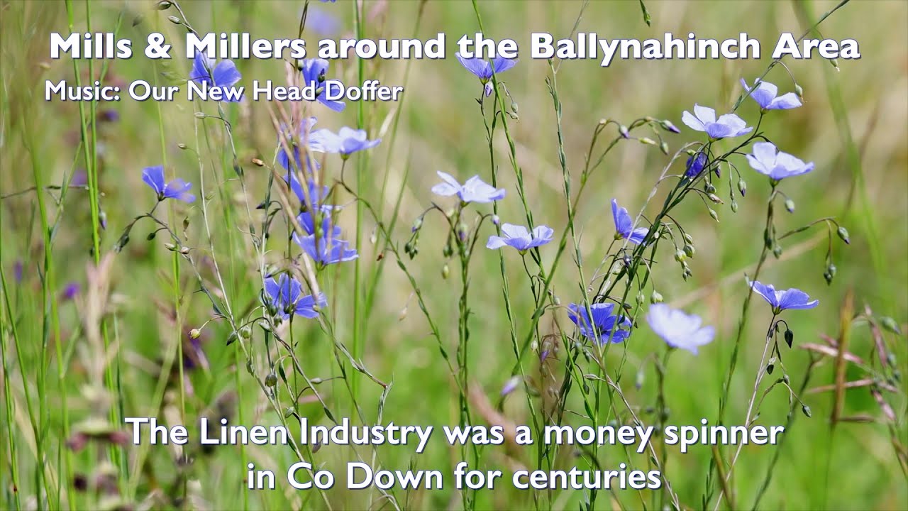 Mills & Millers in the Ballynahinch area