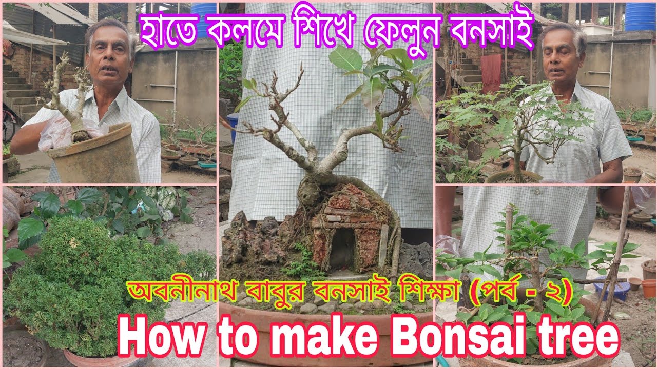 How to make bonsai tree / হাতে কলমে শিখে নিন বনসাই / অবনীনাথ বাবুর বনসাই শিক্ষা (দ্বিতীয় পর্ব)