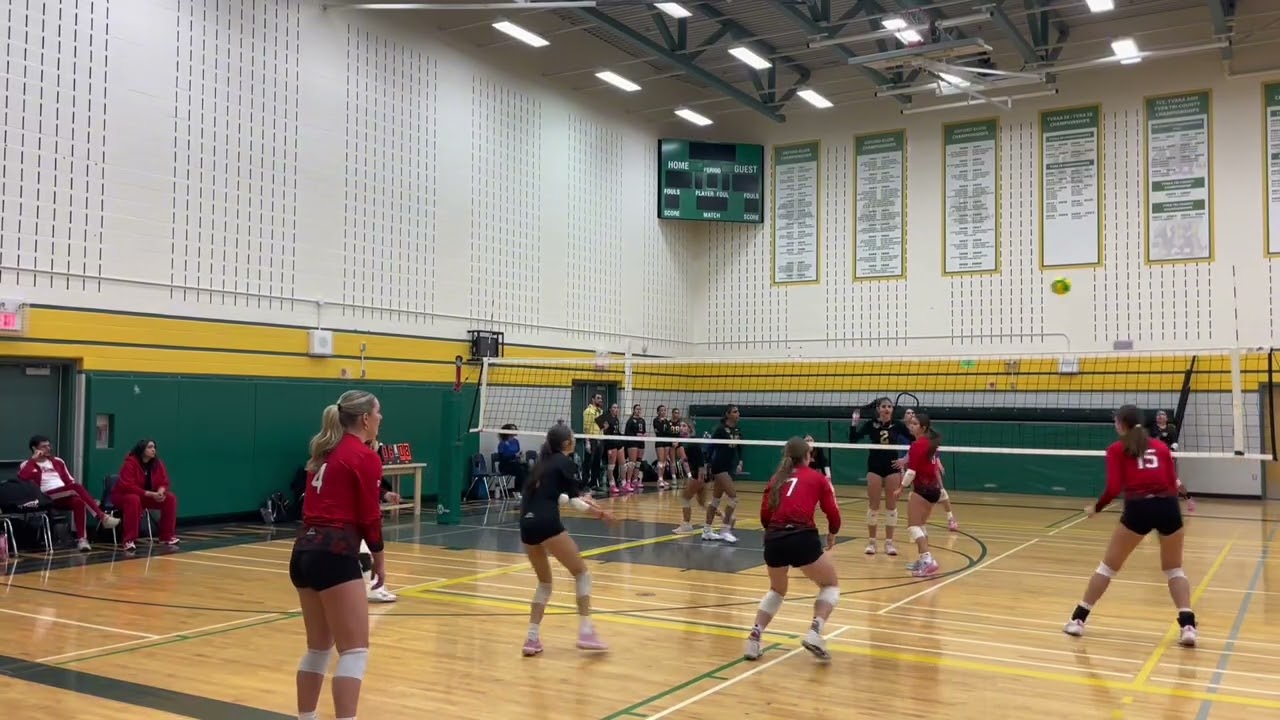 Leaside Volatge vs Thundercats Legacy 