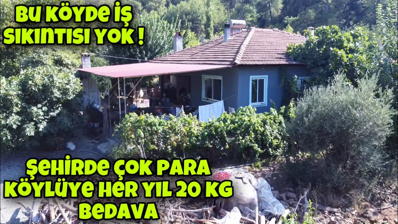 GÖL KENARINDAKİ BU KÖY HİÇ GÖÇ ALMAMIŞ KÖYDE ÖYLE BİRŞEY VARKİ BÜTÜN HASTALIKLARI TEDAVİ EDİYOR