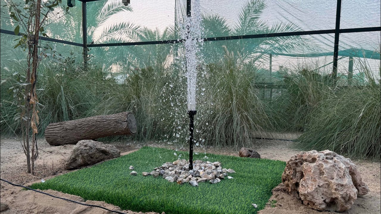 أسهل طريقة لعمل نافورة طيور