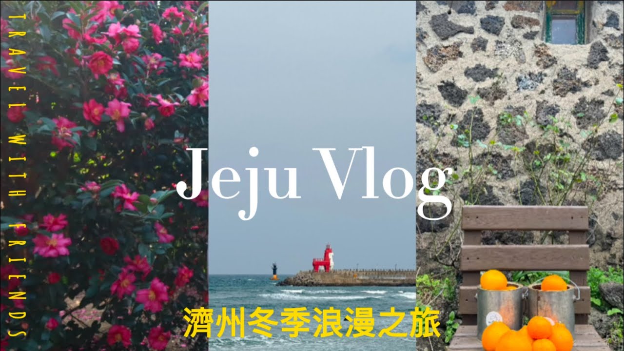 Travel Vlog #10濟州冬季浪漫之旅 🇰🇷四天三夜自由行 - Osullo 茶博物館🍵|橘子咖啡廳🍊｜山茶花森林🌺｜西歸浦美食