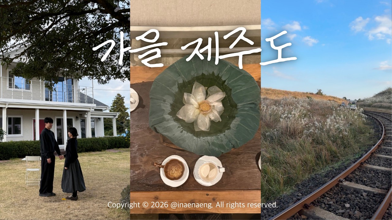 [vlog] 제주동쪽 알차게 털어온 브이로그🐷 | 2박 3일 여행 | 해비치리조트 | 갈대맛집 제주 레일바이크 | 안친오름에서 인생 사진 건지기