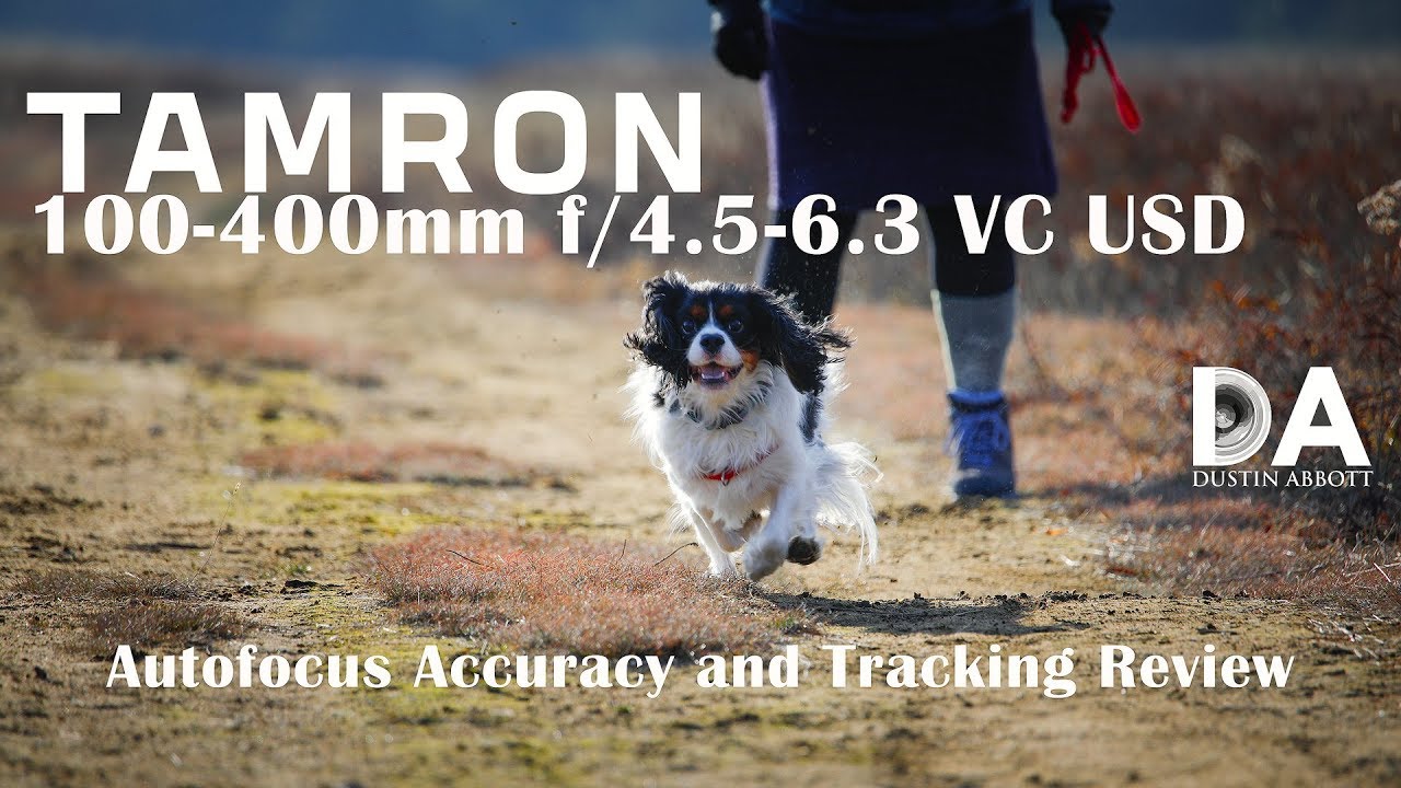 Tamron 100-400mm VC | Autofocus and Tracking Review | 4K