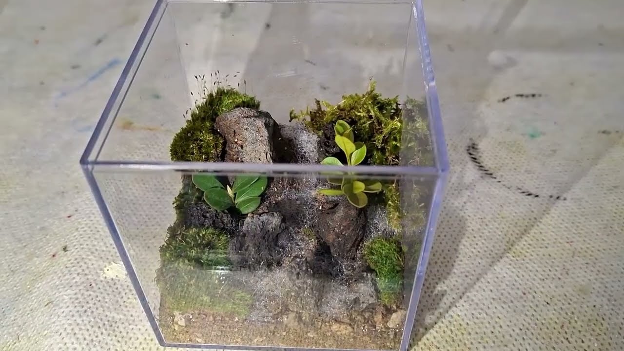 작은 쇼케이스에 강물이 흐르는 테라리움 만들기  DIY Terrarium #테라리움 # 피규어 쇼케이스