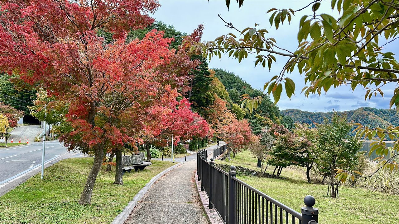 4K Japan Walk - autumn beautiful day walk at Yamanashi lakeside 