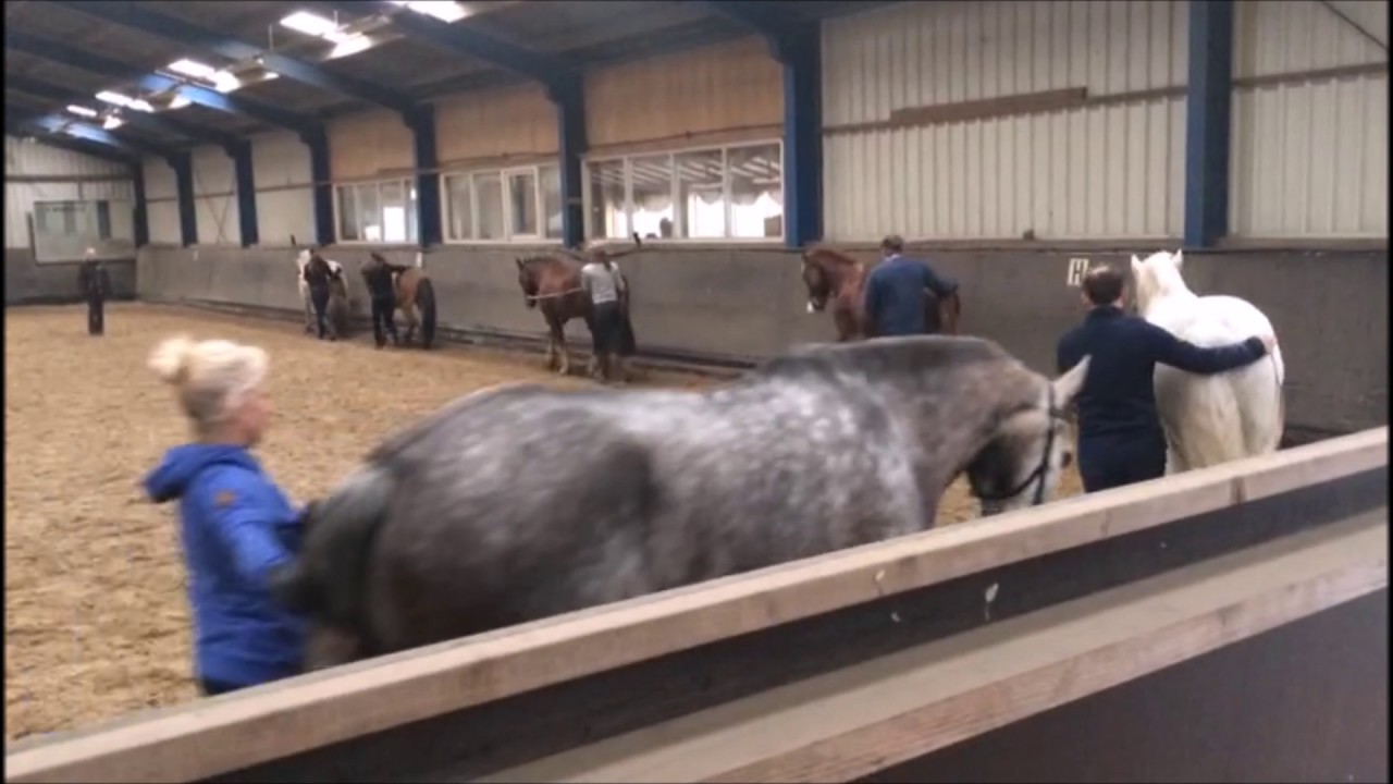 NCSAH Lange Teugel opleiding 2016-2017 The Movie