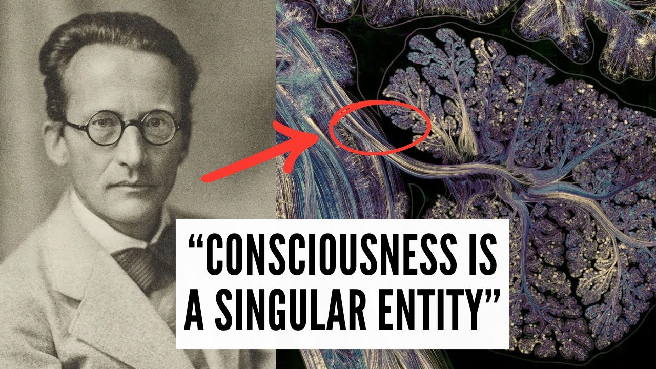 Что имел в виду Шредингер, говоря, что «Сознание — это единичная сущность»
