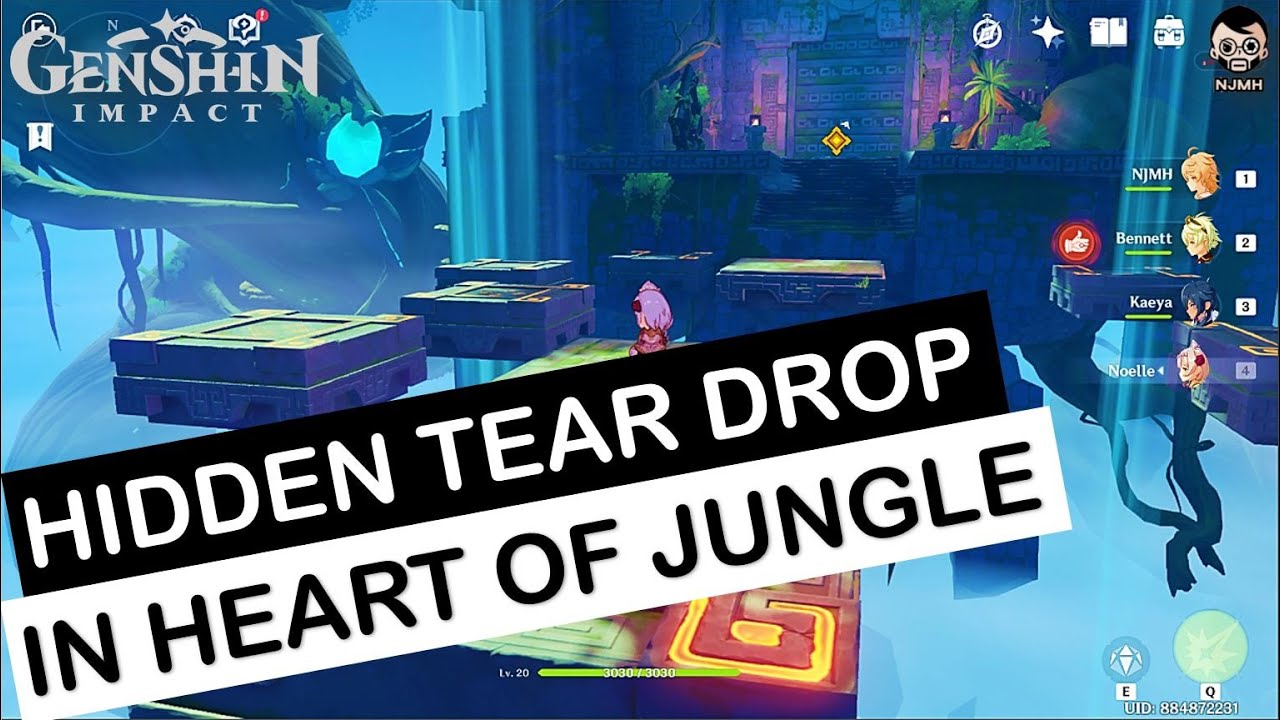 [Easy Guide] Hidden Teardrop in the Heart of the Jungle | Hidden Tears | Genshin Impact