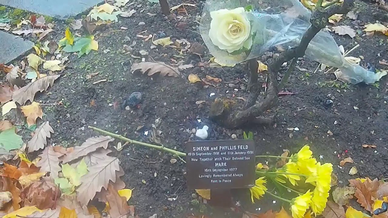 VISITING MARC BOLAN'S GRAVE
