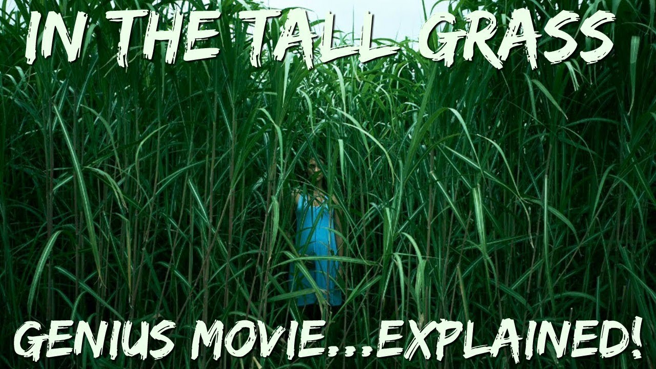 In the tall grass? Why it's good! | Netflix: In the Tall Grass Review | Stephen King