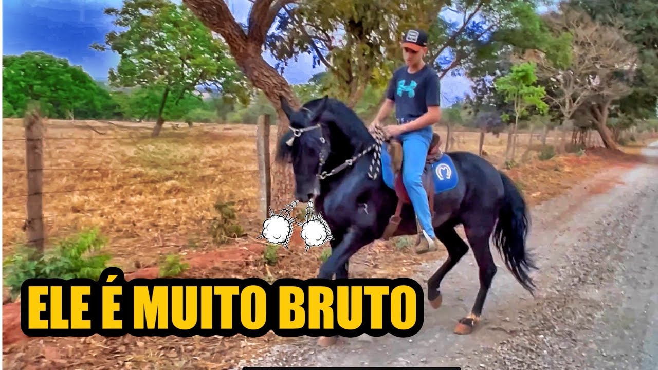 PRIMEIRA CAVALGADA COM O GARANHAO BRAVO