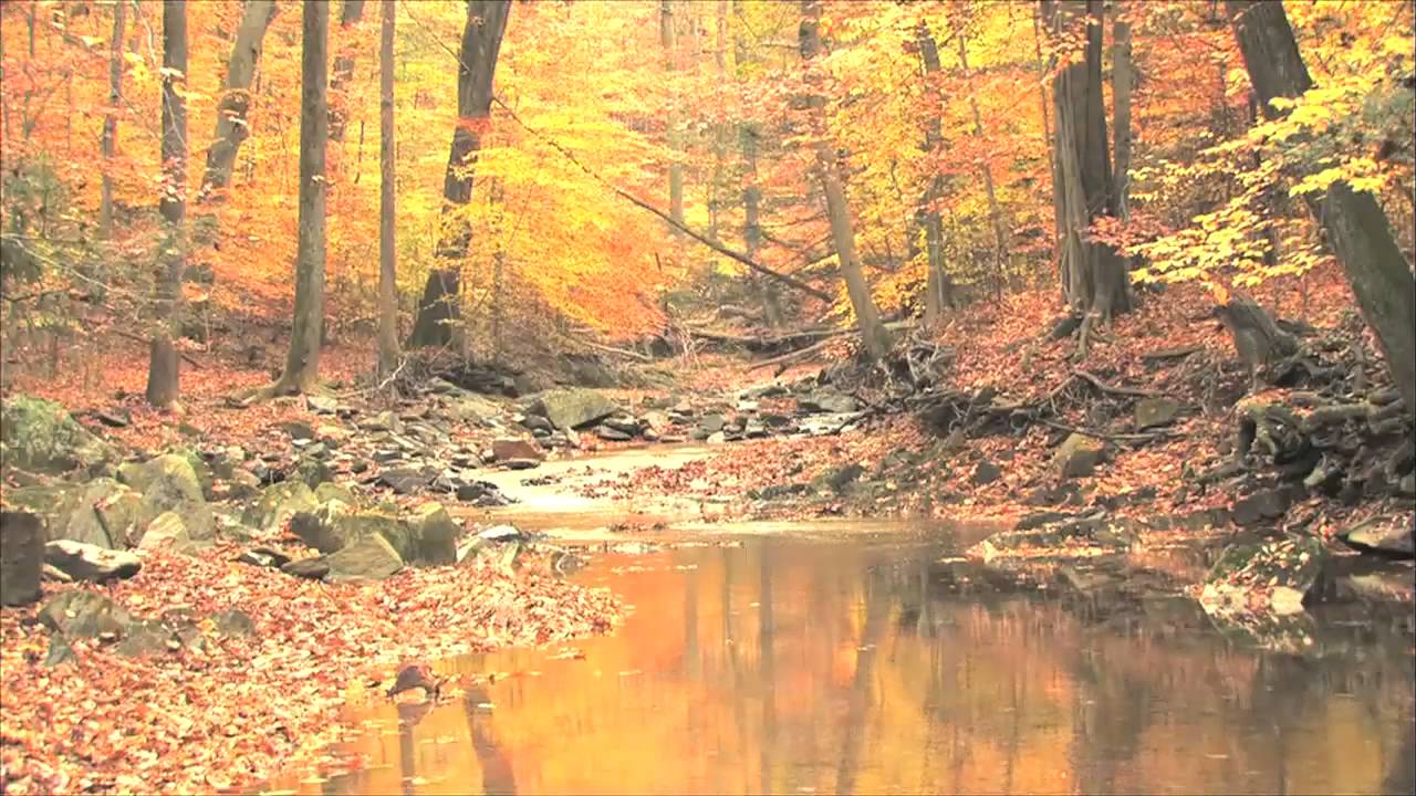 Fear and Courage: Guided Meditation