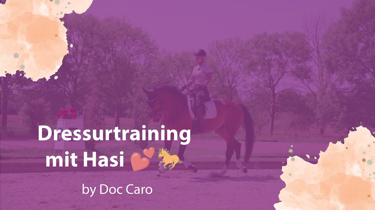 Dressurtraining mit Hasi – Schlüsselmomente im Dressurviereck 🐎✨