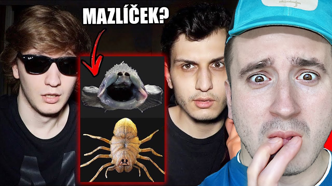 Koupil si PAVOUKA jako MAZLÍČKA z DARK WEBU !