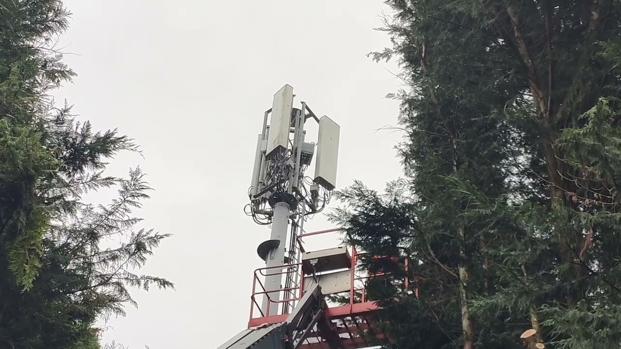 Cutting trees next to the 5G tower.