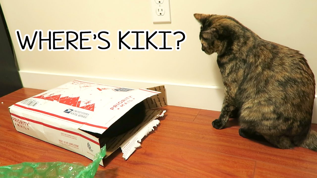 WHERE'S KIKI?