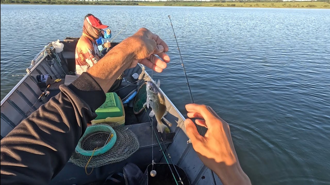 Nunca peguei tanta corvina então pouco tempo!!! Rio marinheiro!!