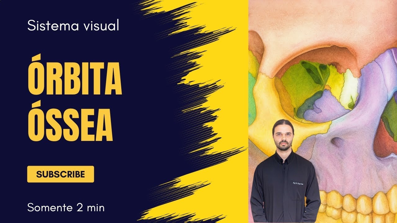 Sistema Visual - Órbita Óssea - Anatomia Humana